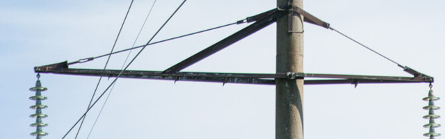 На территорию дома попечения Таммисте упала высоковольтная линия электропередачи