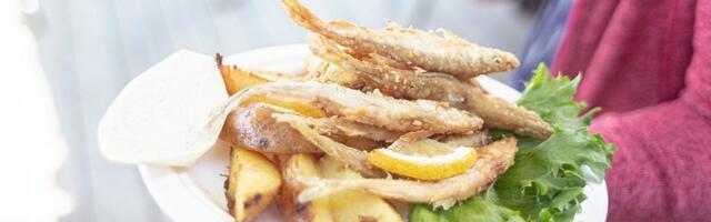 Начало сезона на Луковом пути — с рыбным вкусом