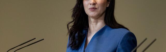 Премьер Литвы: это был сбившийся с курса украинский беспилотник