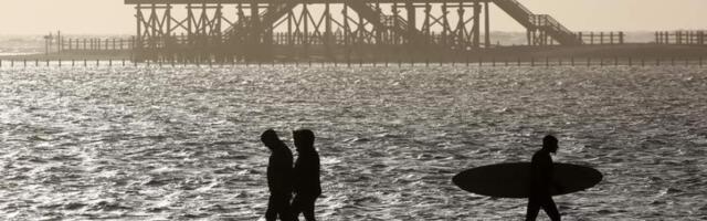 Северное море нагрелось до рекордного уровня