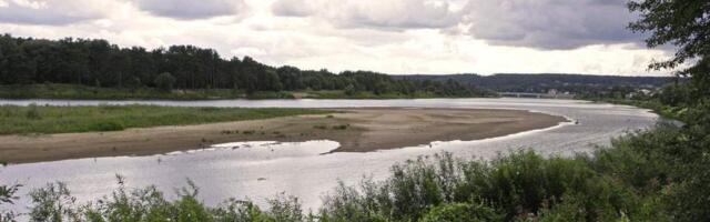 Началась проверка на загрязненность воды в реке Нямунас, ее попытаются снизить