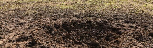 Владелец участка земли в Эстонии, куда упал ударный дрон: что тут драматизировать, рядом идет война