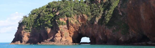 13-летний австралиец проплыл четыре часа в море и спас мать с детьми