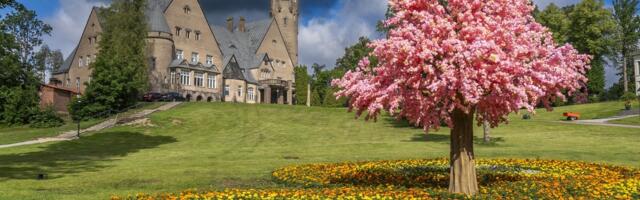 Касса здоровья потратила более 100 тысяч евро на летнюю вечеринку