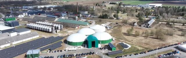 Государство сворачивает поддержку производителей биотоплива