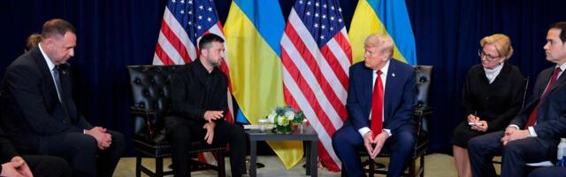 Трамп встретится с Зеленским в пятницу в Вашингтоне