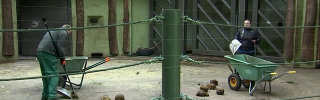 Таллиннский зоопарк приглашает садоводов за лучшим удобрением