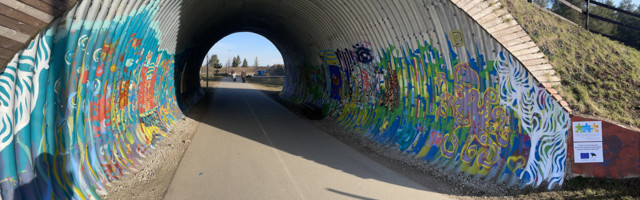 Арт-революция в Ида-Вирумаа: участники рисовали разноцветные полосы