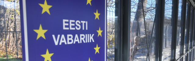 МВД Эстонии: ускорить прохождение границы в Нарве сейчас невозможно