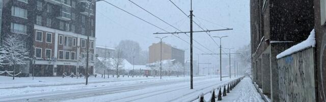Городской транспорт в Таллинне во вторник ходил не по графику из-за снегопада