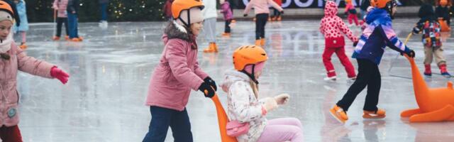 Ледовый парк Ласнамяэ откроет сезон 25 октября