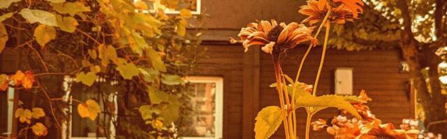 Заброшенные дома в Литве переделают в домики для путешественников: отдохнуть в них можно будет за пожертвование