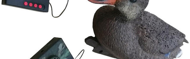 Два мнения об одной проблеме: евродепутаты на местных выборах — реальная работа или «приманка» для избирателей?