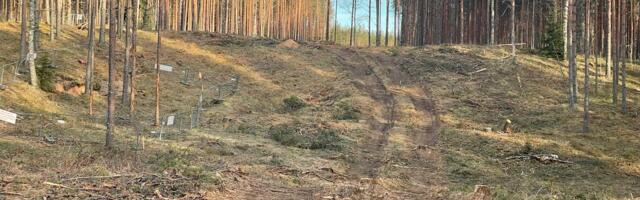 Начинается строительство дороги в обход Саатсеского сапога