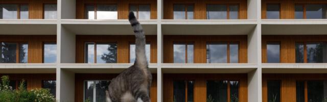 Перед повышением НСО банки выдали на четверть больше жилищных кредитов