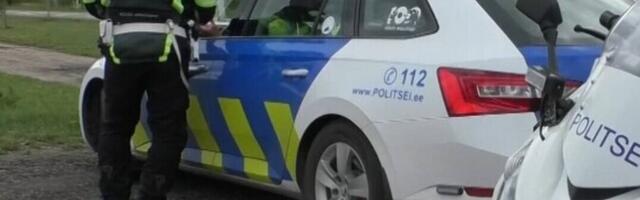 Нарвские полицейские накормили сбежавших собак и доставили в приют