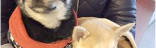 К добрым людям