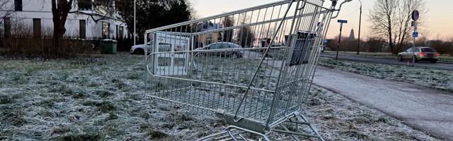 Экономист: в Эстонии — самый высокий рост цен в еврозоне