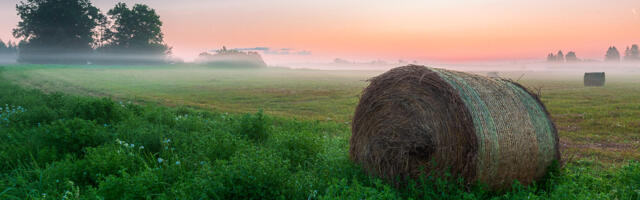 Прогноз погоды в Эстонии: неделя началась с дождей, но тепло пока не уходит