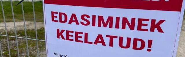 На крупнейшей свиноферме Эстонии из-за вспышки АЧС уничтожат около 30 000 свиней