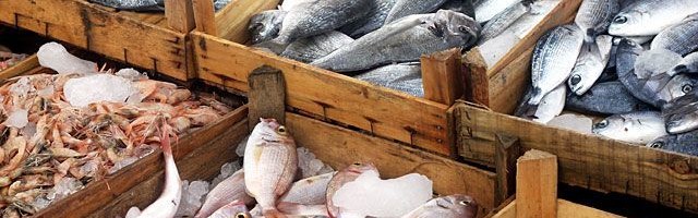В Эстонии запустили двухлетнюю кампанию с целью повысить потребление рыбных продуктов