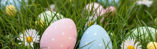 Кататься на качелях, красить яйца и наблюдать за кроликами: как провести Пасху в Таллинне нестандартно