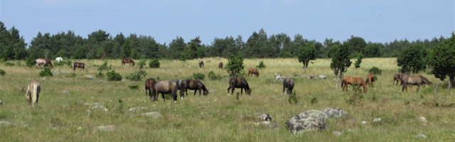 Для 300 новых земельных участков нашлись арендаторы