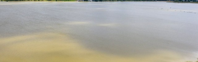 Тревога: на озере Харку появились сине-зеленые водоросли! Купание не рекомендуется
