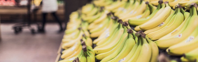 Бананы оказались под угрозой исчезновения