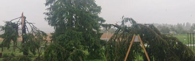 ВИДЕО | Природный апокалипсис в Латвии: разбитые градом машины, сорванные крыши, поломанные деревья