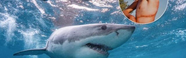 Родни Фокс, нападение акулы, дайвер