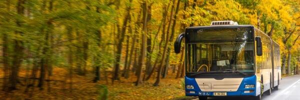 Убытки пассажирских перевозчиков в этом году могут составить почти 7 млн евро