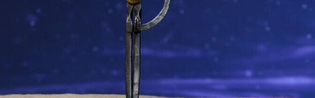 Началась работа над новым анимационным фильмом "Земля" режиссера Юло Пиккова