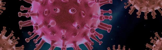 Новый штамм коронавируса в Эстонии — как защититься