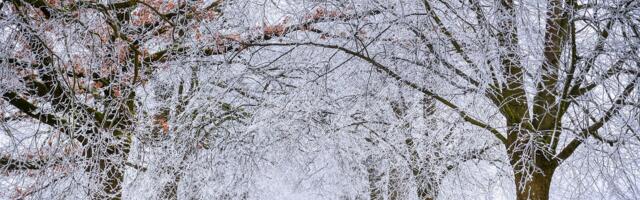 Департамент транспорта предупреждает: дорожные условия станут более зимними