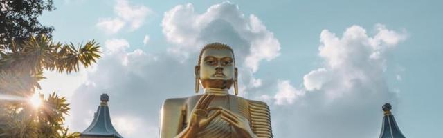 Шри-Ланка смягчила антиковидные ограничения для туристов