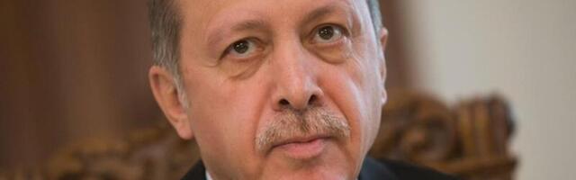 Эрдоган предложил себя посредником в конфликте вокруг Украины