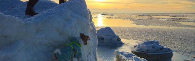 Зима подкидывает интересные идеи для фотографий!