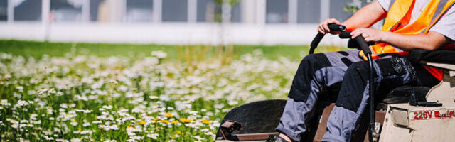 Несовершеннолетним запрещено работать газонокосильщиками