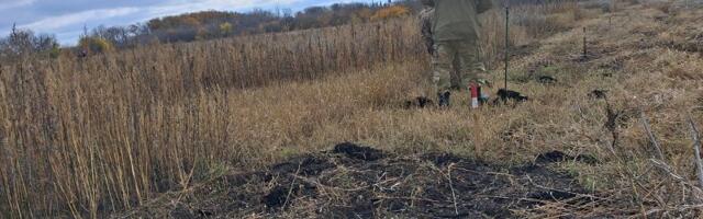 Сапёры из Эстонии отработали на минных полях Украины