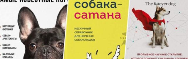 Лучшие книги о воспитании собак — топ-10 лучших книг о собаках
