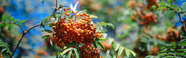 Синоптик: начало сентября может принести кратковременное возвращение летнего тепла