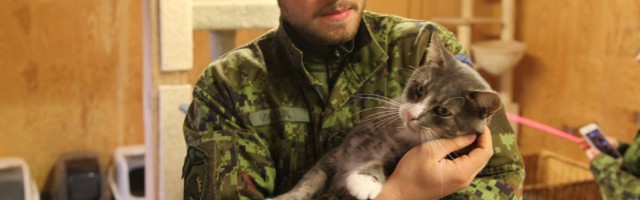 Как эстонские солдаты-срочники помогают приюту для животных