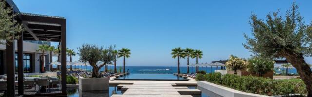 Под белыми облаками: едем на Кипр любоваться цветением миндаля