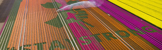 В Нидерландах цветут тюльпаны, но туристы сидят дома. Специально для них на полях оставляют послания