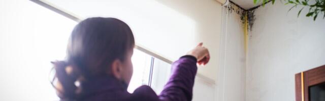 Количество жалоб на скрытые недостатки стремительно растет. Как защитить себя при продаже недвижимости?