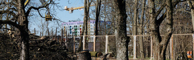 На стадионе "Кадриорг" появится дополнительное здание и полноразмерное футбольное поле