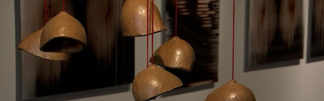 В тартуской галерее Kogo открылась авторская выставка, посвященная телесным нормам