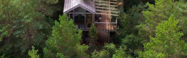 Летний отдых в лесу: в Эстонии сдают дом на дереве с видом на зелень, звёзды и морской горизонт