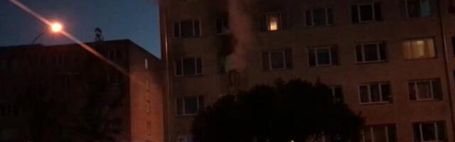 ВИДЕО | В многоквартирном доме Ласнамяэ произошел пожар